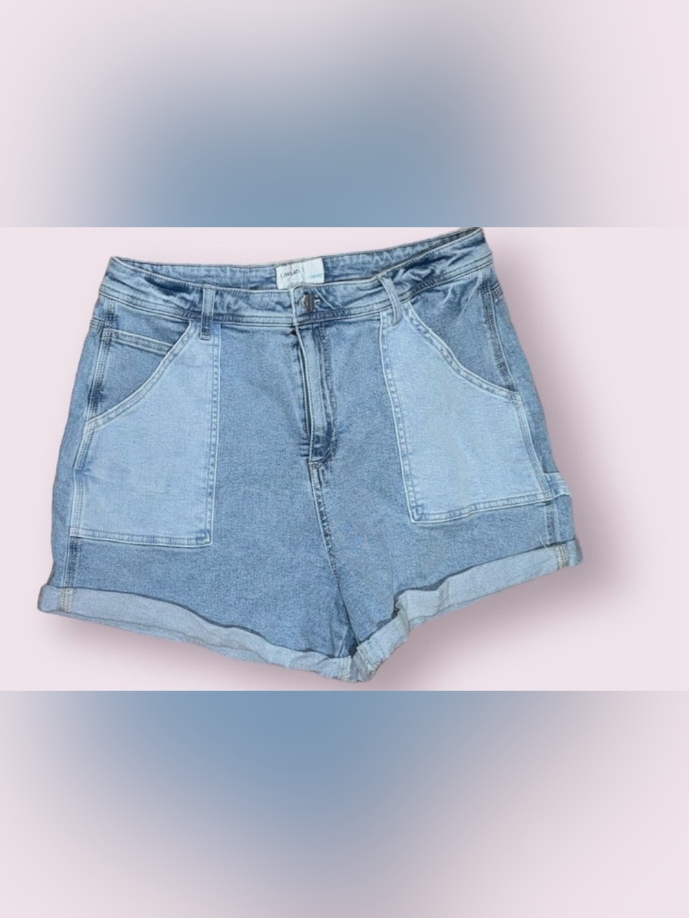 High Rise Carpenter Denim Shorts Size 15